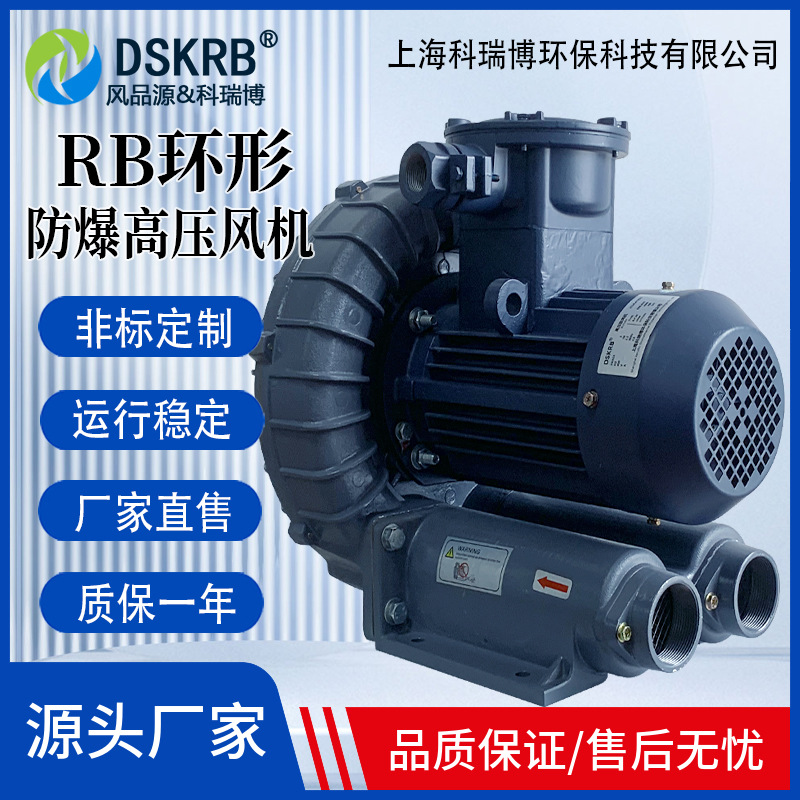 FB抽废气用隔爆耐腐蚀型漩涡气泵BT4大功率高压变频风机可非标厂