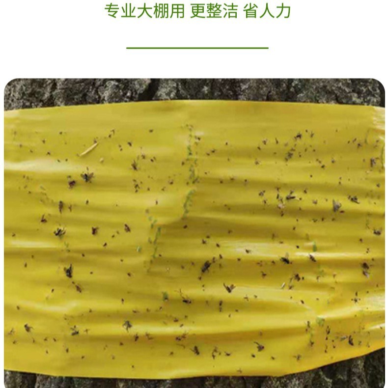 両面粘着式害虫捕獲テープ、温室用防水害虫捕獲テープ、黄色の樹木用防虫テープ、茶園・果樹園用粘着式害虫板、無毒|undefined