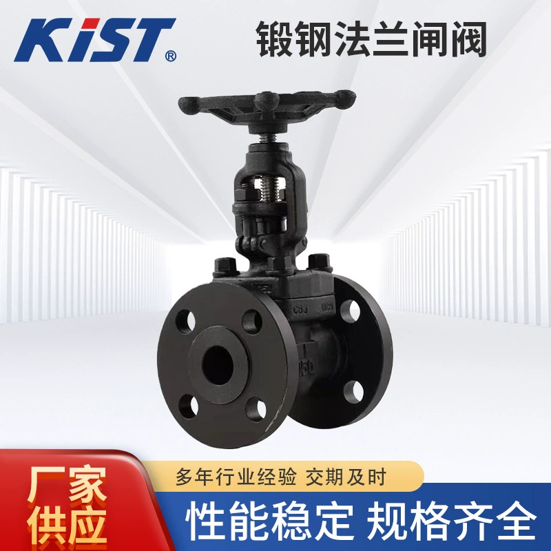 Задвижка из кованой стали Задвижка из кованой стали Запорный клапан из кованой стали