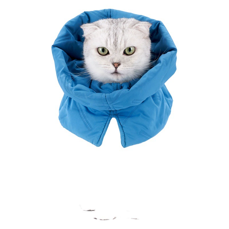 Трансграничный новый шарф для кошек кошка с защитой от лизания шарф стерилизация кошка Элизабет круг для домашних животных Теплый головной убор оптом