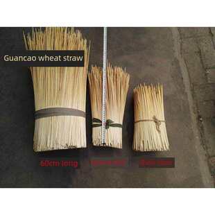 ԭ���ն�����С���՗U�����ն����qԭ�����������U