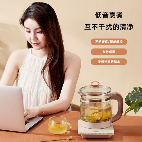 Health kettle small household multifunctional kettle office tea decocting medicine kettle gift [Wholesale]