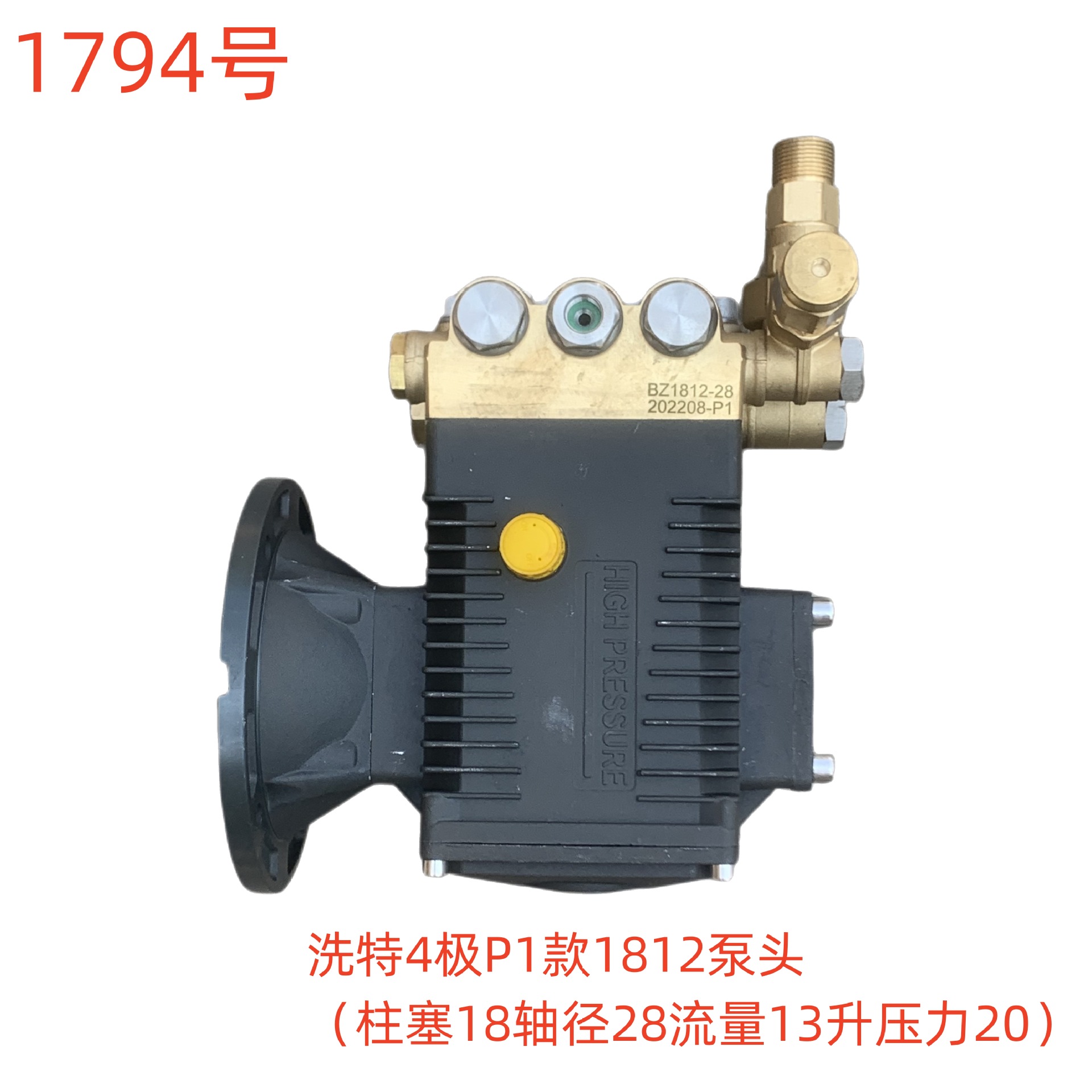 洗特4极P1款1812泵头（柱塞18轴径28流量13升压力20）