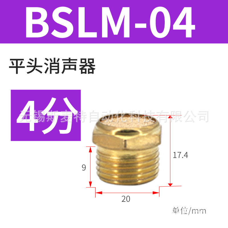 ֱͭ ƽͷBSLM-01/02ŷ 