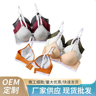 ��ĸ�玧���Ǳ����� �o��֧���p���۔n�� �����`�ճ�����