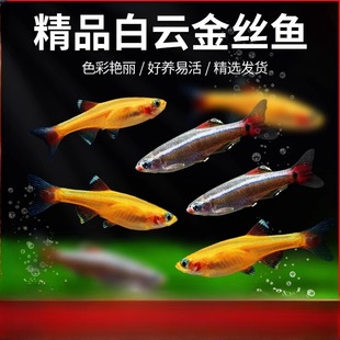 ��녽�z�~��ˮ�~ԭ���~���Ӝص�ˮ��ˮ�^�p�~���B�ͻ��~�^�pС�~