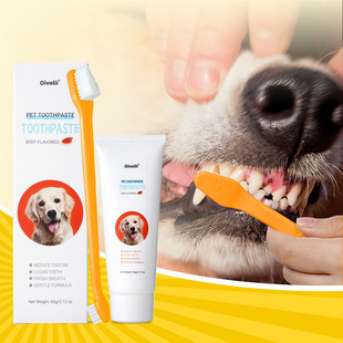 Amazon's Popular Pet Toothpaste Beef Flavor Cat and Dog Toothbrush Toothpaste Set Small Size Dogs to Remove Dental Calculus
