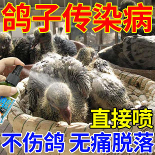 ����������ِ����Ч�������������Ƥצ�ӳ���Lē�������`