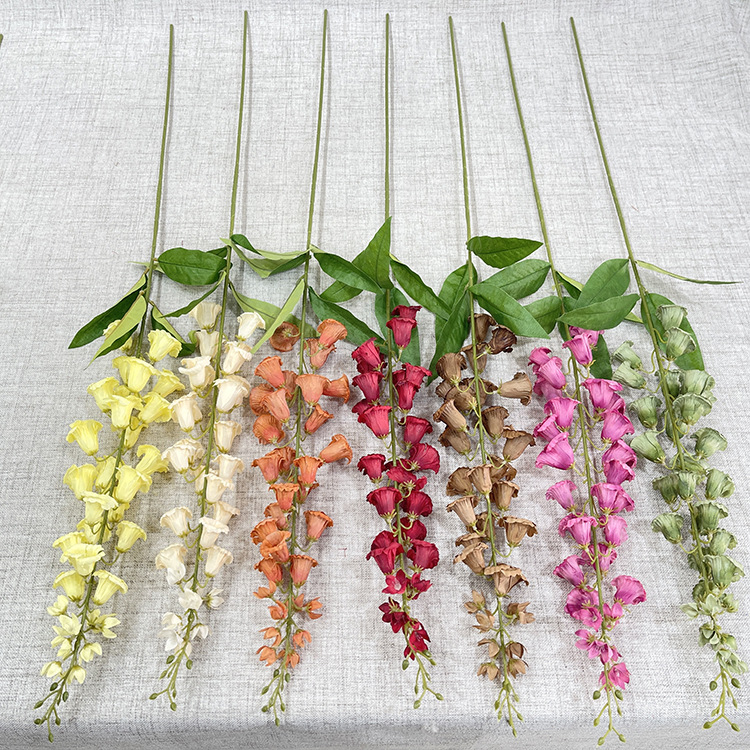 主图 花溪谷.JPG