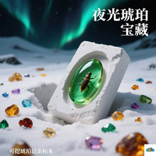 ��ͯ����DIY����̽��ҹ�ⱦ�ط���ä����ߺ����滯ʯ�����Ѱ��