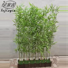 仿真竹子装饰假竹子仿生绿植物造景隔断室内庭院户外塑料背景竹子
