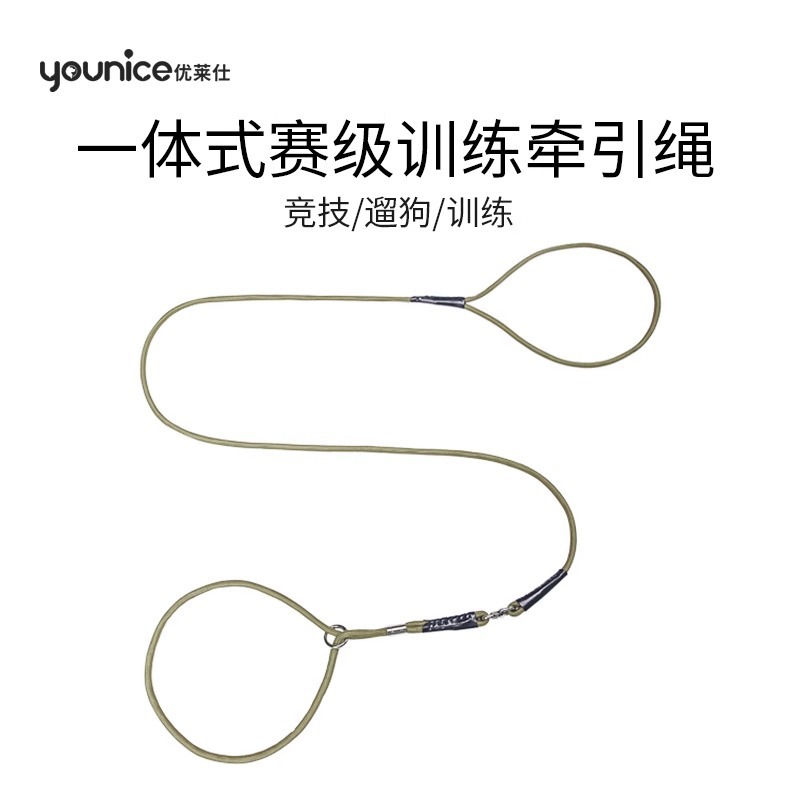 Correa de perro de nylon Youlaisi con diseño de panda dorado, de la fabricante Z, al por mayor. Correa de perro anti-explosión para mascotas, de cuerda P especial de grado de competición.