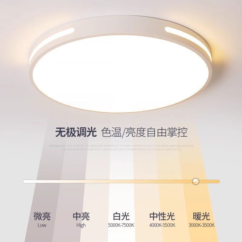 Golden Fantasy Full Spectrum Ceiling Lamp High Quality Intelligent Adjustable Color Temperature Energy Saving Super Bright Simple Modern Bedroom Balcony