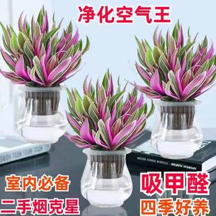 ����¶�mˮ�ࡿ�����҃ȵ��m�����k���҃ȃ����՚�ֲ��͏d�[�Ż�