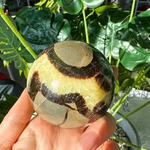 羳ȻVʯʯԭʯĥƷbƷˇƷղذN