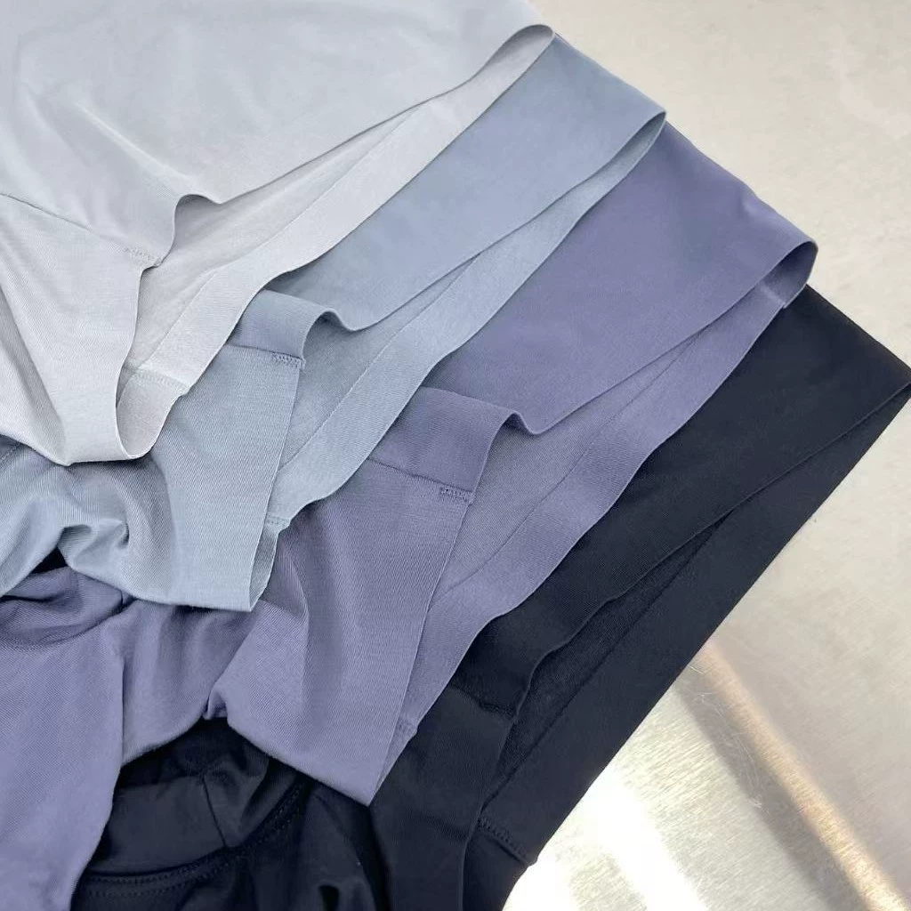 Мужские Ransin Modal panties 25N1