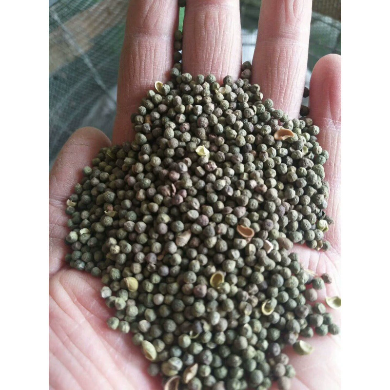 Жемчужина Tougucao семена Tougucao китайской травяной медицины семена медицины поставки Tougucao китайских травяной медицины семена