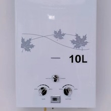 厂家批发出口天然气燃气热水器10L家用商用恒温快速即热强排宿舍