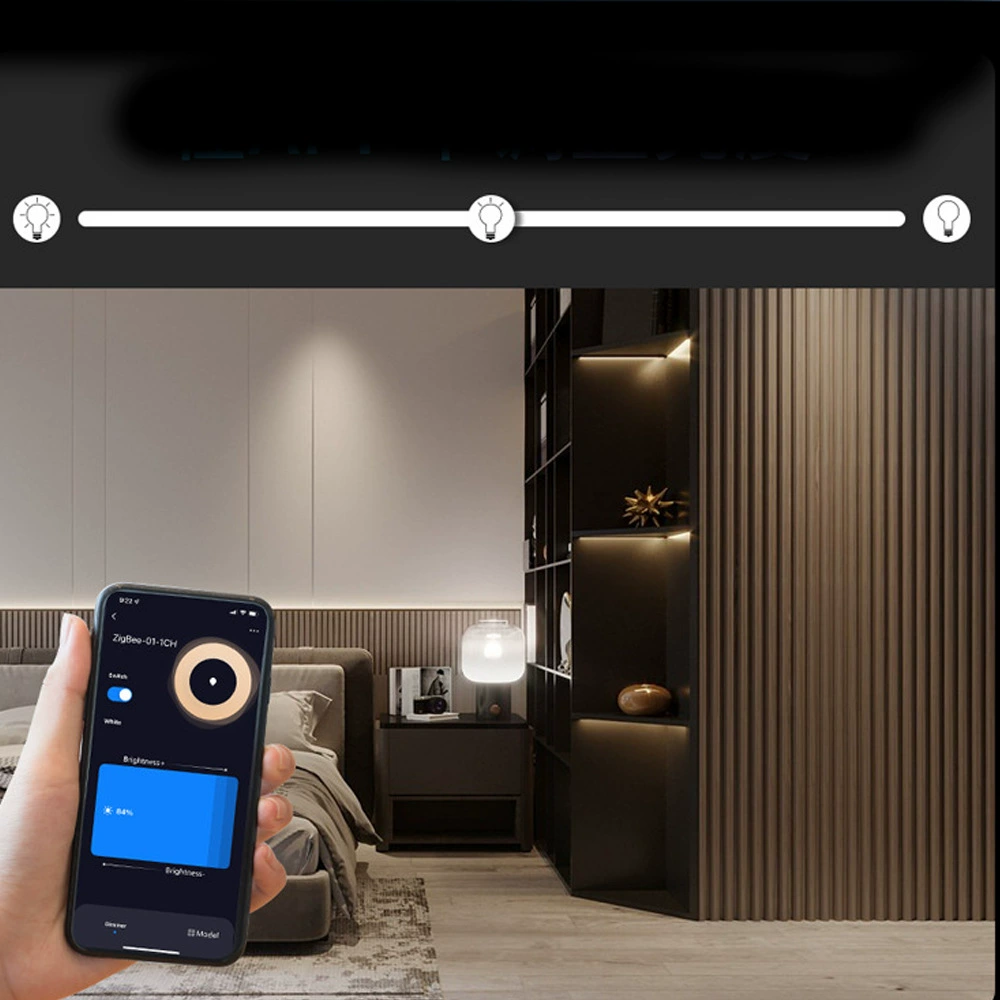 LED smart two-color controller, colorful light strip, graffiti, 12v, 24v