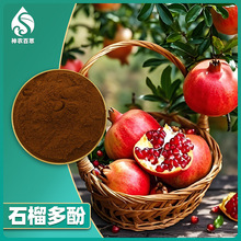 石榴多酚 安石榴甙40% 石榴提取物 石榴皮提取物 鞣花酸98%