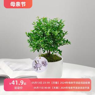 С�~����辰�t�������Ϙ��������������҃Ș����k���ҾGֲ���B��