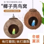 户外玄凤珍珠椰子壳
