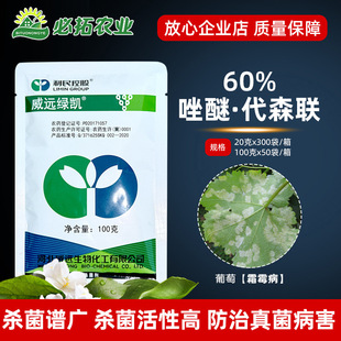 60%���Ѵ�ɭ�r�Ú����������Ѿ���֬����˪ù�������������rș