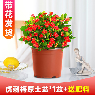 ����÷���Դ��Ϙ��������̨�҃��⻨��ֲ���F�����ļ��_���Gֲ