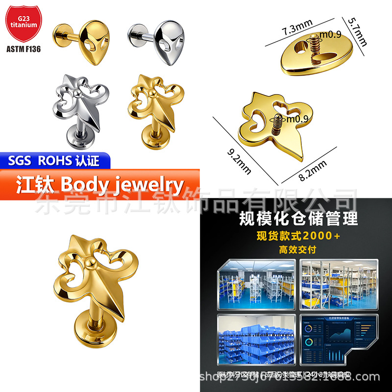 Pointed titanium steel lip stud product view