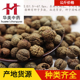 �ݶ�ޢ1000���A����ș�ĬF؛���l������ϴ󂀲ݶ�ޢ��؛