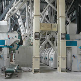 河南480吨小麦面粉机组 玉米制粉全套设备 杂粮磨面设备 高方平筛