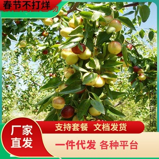 һ�����l�޽ӗ�����մ������������������ϱ���ͥԺ���Ե��ԷNֲ