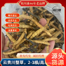 2025�^���x������F�ݺ����x����������x�ݸ��ζ��x�Ĳ����l