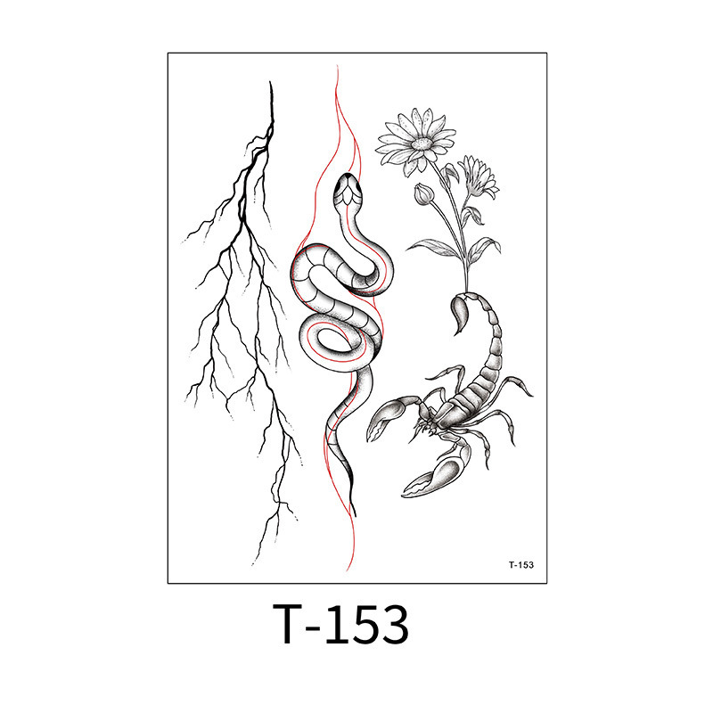 T-153 / 150*210mm