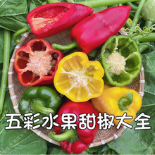 𽷷NӴ߮aˮļ̨ͥԺ߲˷N