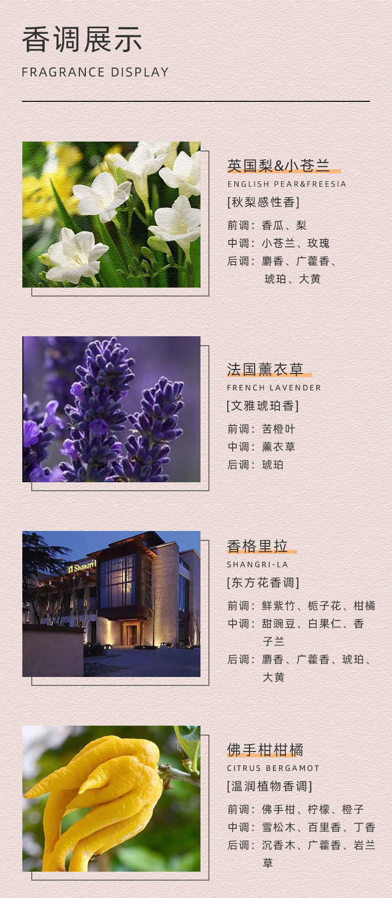 O1CN01dp45Qv26BO1KZqH3n_!!2213976337623-0-cib.jpg?__r__=1675387448025