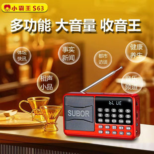 S63, wireless digital karaoke charging, removable battery, bluetooth
