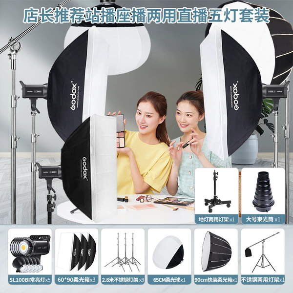 [No. 22] SL100BI with soft light dome lamp, deep recess and square floor lamp, stainless steel five-light package
