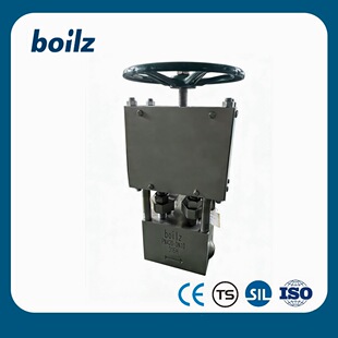 boilz PN420-DN10 316H �ߜظ߉��p��ֹ�ͺ��y 늏S��ˮȡ���y