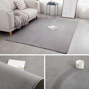 Carpet Living Room Simple Modern Bedroom Plush Carpet Internet Red Carpet Nordic Tatami Carpet Floor Mat Wholesale