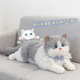 �ɐ���ؔ��ż؈����Ů���Y��羳�����޴��ȷ���؈����żë�q���