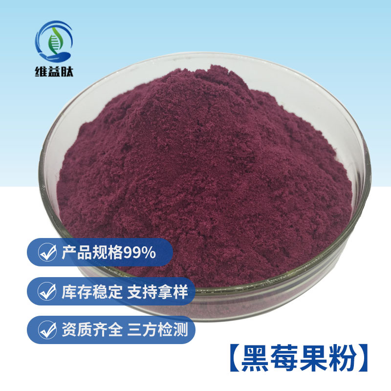 黑莓果粉 喷雾干燥 食品级果蔬粉 固体饮料原料批发 厂家量大优惠