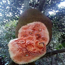 �t�Ⲥ�}�ۘ���޽ӹ�������ɏ�Ϸ��NֲͥԺ�̨���Ե��Ԯ���Y��