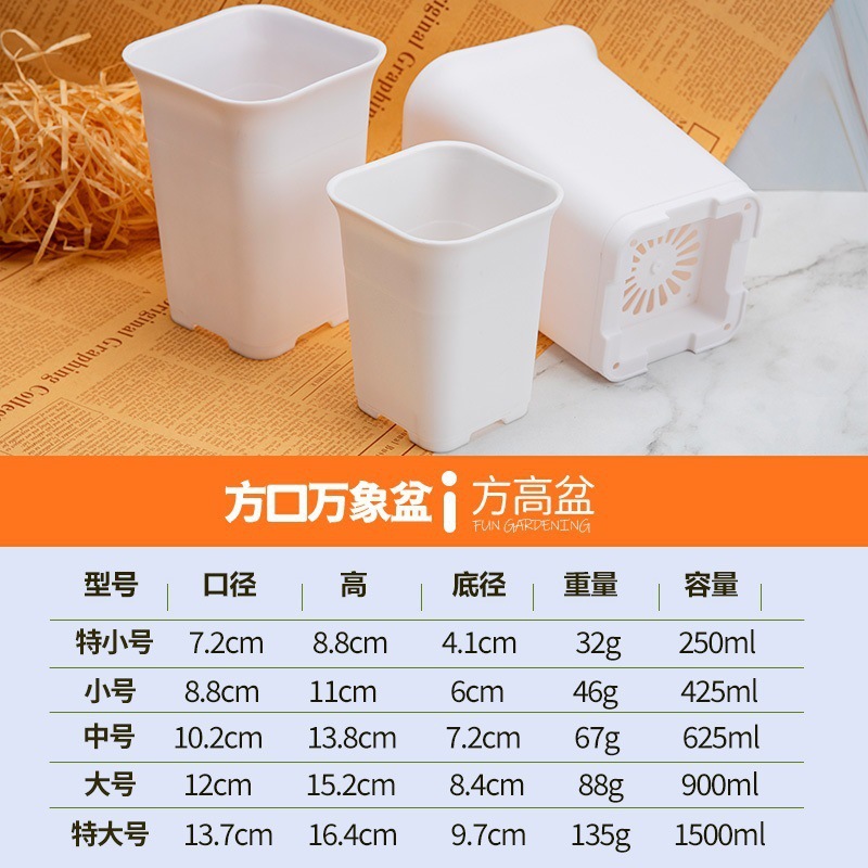 5 cuadrados de Vientiane (blanco)