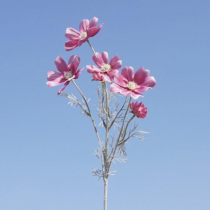 Autumn Purple Pink 5836#