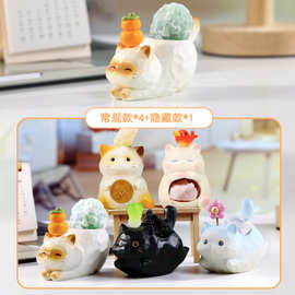呆萌可爱猫猫能量PAI盲盒公仔手办家居卧室桌面装饰品摆件批发