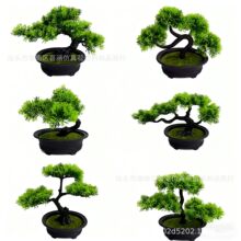 ����ӭ���ɼٻ����Լ��ɰ������辰�ɘ��҃ȾGɫֲ���b�����[��