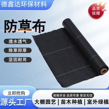 园艺防草布pp/pe除草布耐拉扯防晒透气地布大棚农用果园防草布