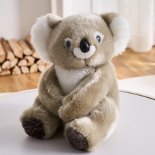 �ɐۿ�����ż����ë���ײ����޶Y��������ż�YƷ���l