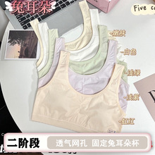 小学初中生内衣女二阶段兔耳朵固定杯女童运动少女文胸背心带胸垫